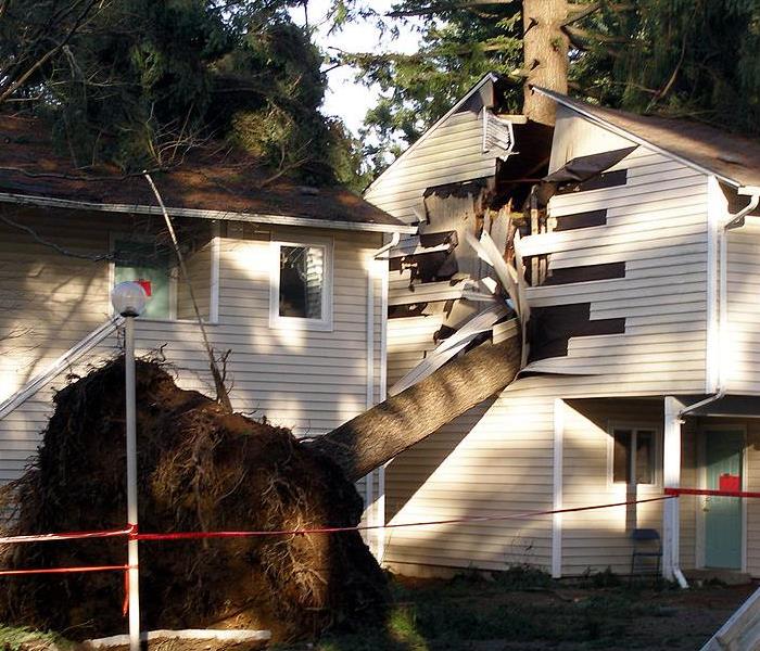 Picture shows a tree being uprooted out of the ground and falling in to a home.