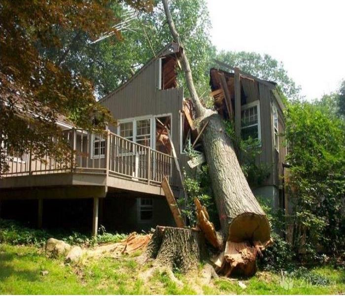 tree fallen on a house