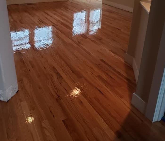 Picture  shows hardwood floor being cleaned and re- sealed 