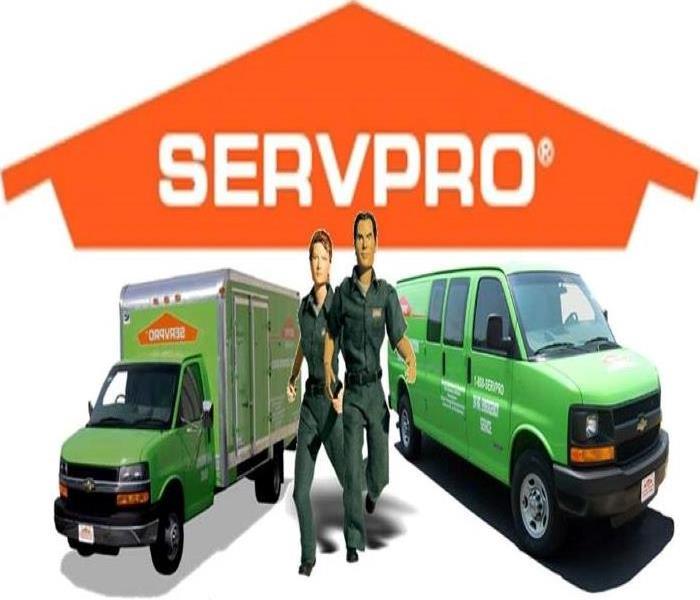 Servpro Logo with characters 