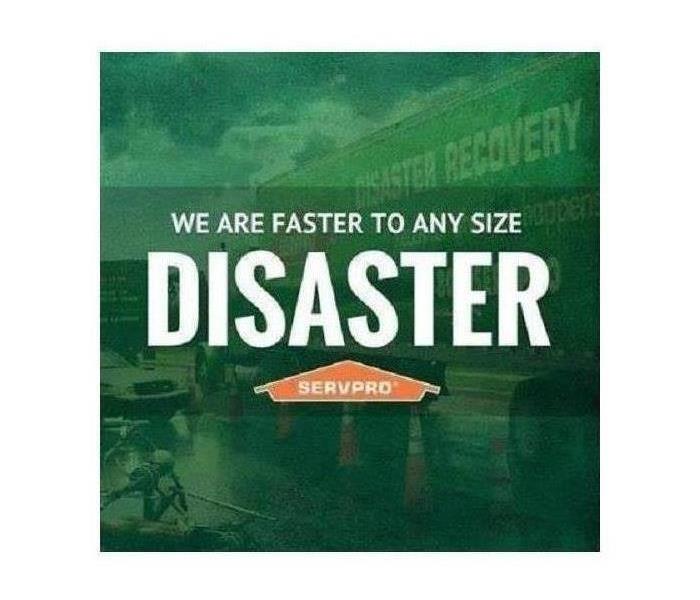 Green sign reading Faster to Any Disaster